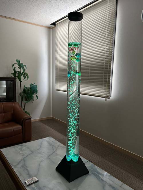 ソロプチミスト活動写真